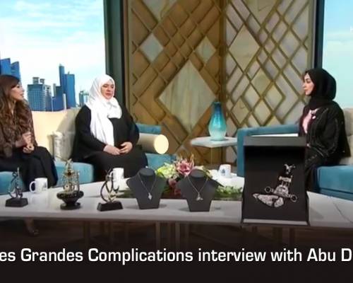 SDGC interview with Abu Dhabi TV