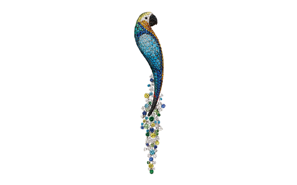 مشبك The Curious Parrot