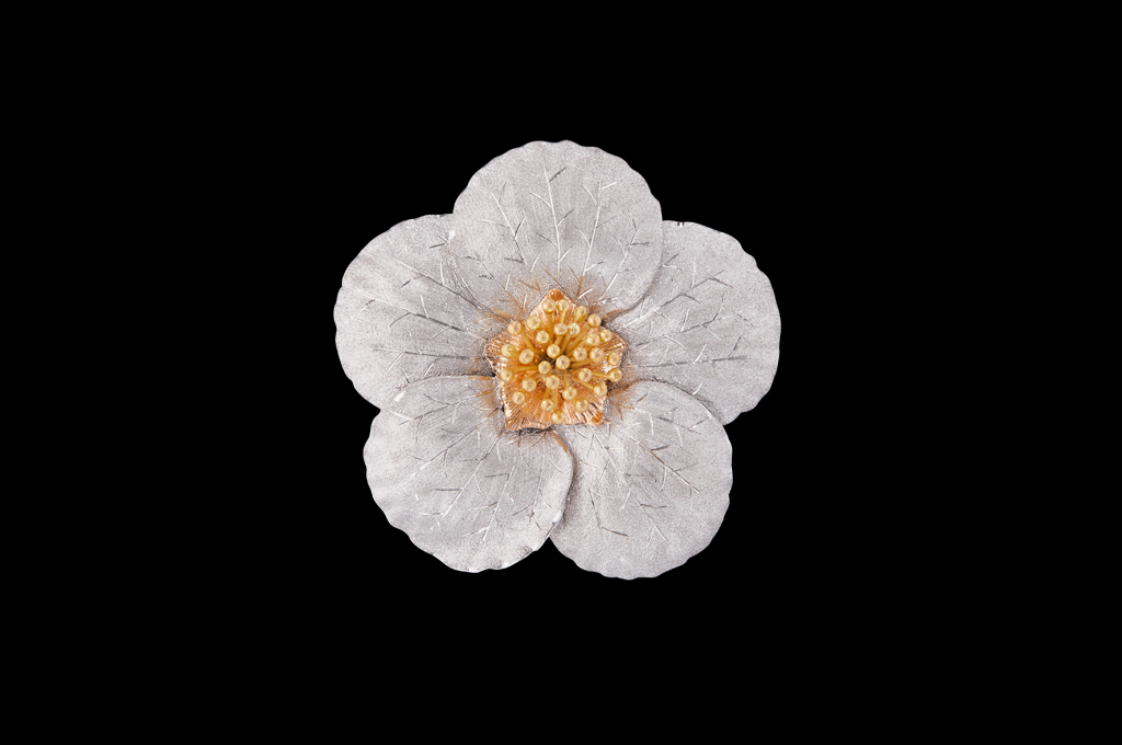 The Iconic “Magnolia” Brooch by Buccellati