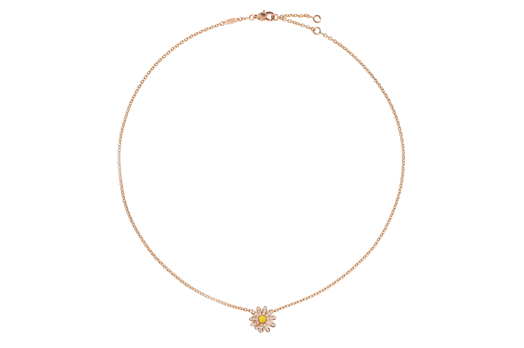  The New Diorette Creations